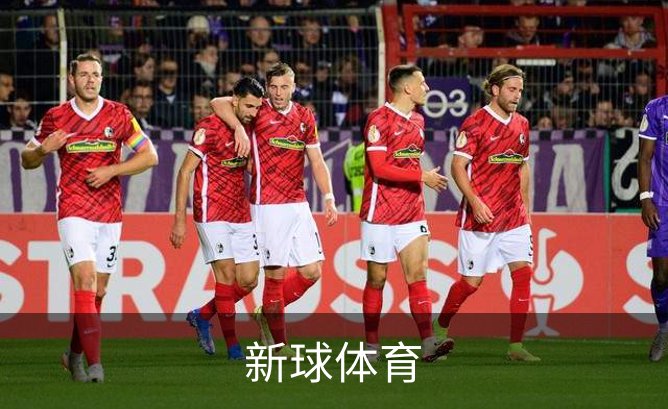 关于新球体育